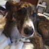Elle Osborne - @elle_osborne - TikTok