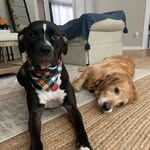 Elle & Packer - @itselleandpacker - Instagram