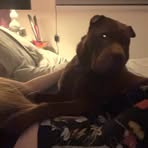 Elle Pennington - Facebook