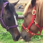 Karen Elleray - @elleraykaren - Instagram