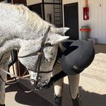 Elle Reeves - @ellereeves.eq - Instagram