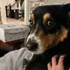 ellerichardson - @ellerichardson - TikTok