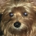 Elle Rios - @rachel.rios162 - Instagram