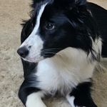 elleroach - @elleroach5486 - Instagram