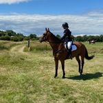 🇬🇧//elle west<3// - @ellewest.eventing - Instagram