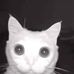 Allan Ackerman - Facebook