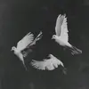 سُكونْ البَحرّ . - @ellen_allan96 - TikTok