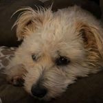 Elle Aln - @ellen.allan.1 - Instagram