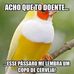 Ellen Allan - Facebook