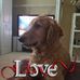 Ellen Altman - Facebook