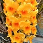 Ellen Altman Milhiser - @ellenmilhiser - Instagram
