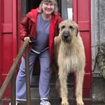 Ellen Amato Tully - @amato.ellen - Instagram