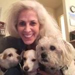 Ellen Andersen - @eandersen0925 - Instagram