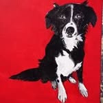 Ellen Andersen - @andersen4922 - Instagram
