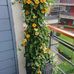 Ellen Andersen - Facebook