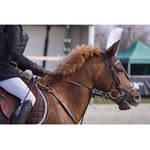 Ellen Westphal Andersen - @ellenandersen123 - Instagram