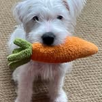 Ellen Appleby-Willson - @ellenawillson - Instagram