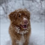 Ellen Armstrong - Facebook