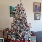 Ellen E Ayers Maggard - @mamaellenm - Instagram
