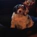 Sue Ellen Ballentine - Facebook