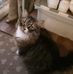 Ellen Barnard - Facebook