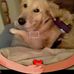 Ellen Barr-Smith - Facebook