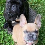 Elle Bartholomew - @mahlerdanielle - Instagram