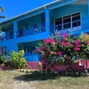 Ellen Bay Cottages - @ellenbaycottages - TikTok