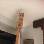 Ellen Bayramoglu - @ellenbayramoglu - Instagram