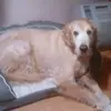 ellenbay905 - @ellenbay905 - TikTok