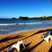 Restaurant Ellen &amp; Beach Bar - Facebook