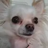 ellen_beans - @ellen_beans - TikTok