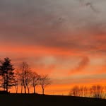Ellen Becker - @schaufenstergestalterin - Instagram