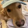 elle beckham - @elle.beckham - TikTok