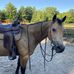 Ellen Burford - Facebook