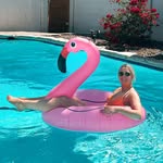 Ellen Beebe - @beebe23 - Instagram