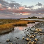 Ellen Belknap - @ebelknap99 - Instagram