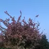ellen bolton - @ellenboltonn - TikTok