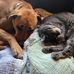 Ellen Bennett - Facebook