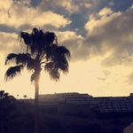 Ellen Bergstrom - @ellenbergstromm1 - Instagram