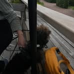 Ellen Bergström - Facebook