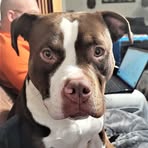 Ellen Berkeley - Facebook