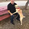 ellenbermanyorke - @ellenbermanyorke - TikTok
