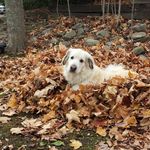 ELLEN BEST - @ellenb350 - Instagram