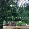 ellenbeyerbach - @ellenbeyerbach - TikTok