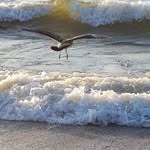 Ellen Beyer - @ellen_eaglelight - Instagram