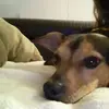 Ellen Beyersdorf - @ellen.beyersdorf - TikTok