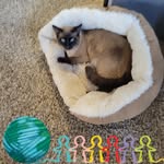 Ellen Carducci-Beyer - @ellen_carducci_beyer - Instagram