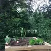ellenbeyerbach - @ellenbeyerbach - TikTok