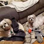 Ellen Bishop - Facebook